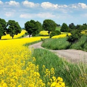 Meet your Posher, Carla